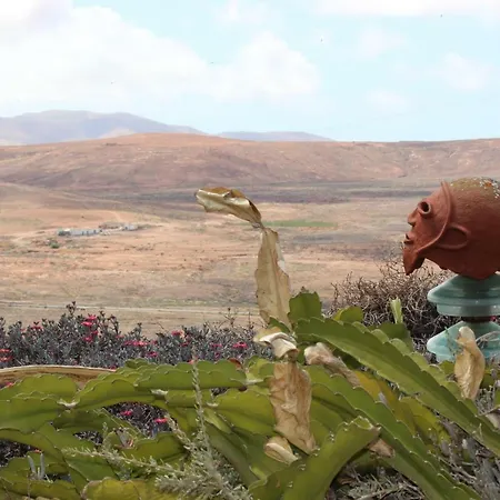 Eco Experience La Rosa Del Taro Puerto del Rosario (Fuerteventura)